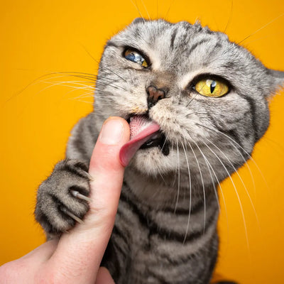 Treats