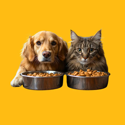 Dry Food
