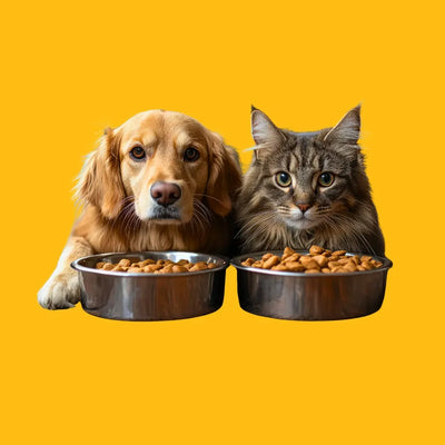 Dry Food - Pet Priority