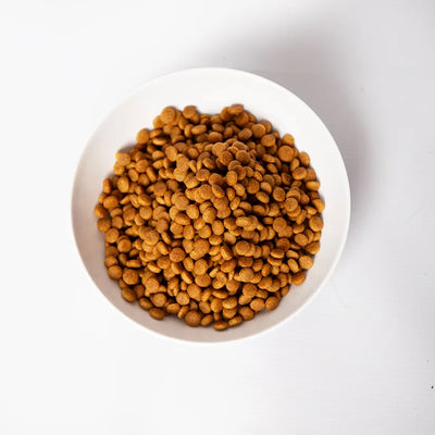 Pramy Carnivore Dry : Chicken Adult Cat Food