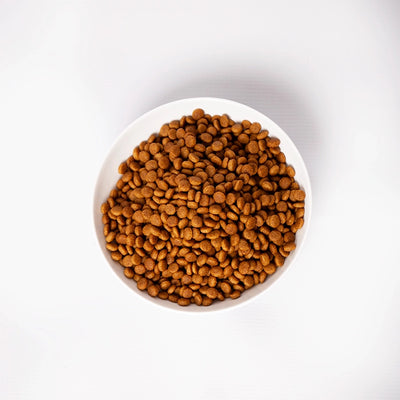Pramy Carnivore Dry : Lamb Adult Cat Food