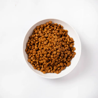 Pramy Carnivore Dry : Salmon Adult Cat Food