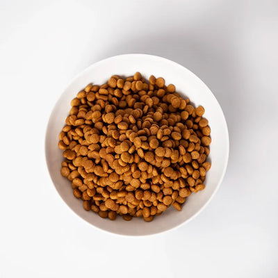 Pramy Carnivore Dry : Tuna Adult Cat Food