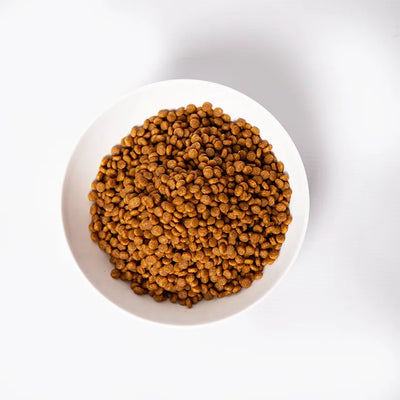 Pramy Carnivore Dry : Kitten Food, Chicken & Goat Milk Flavour