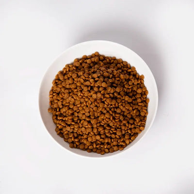 Pramy Carnivore Dry : Kitten Food, Salmon & Goat Milk Flavour