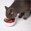 Lola&Co Tuna Ocean Fish in Jelly 400gm x24