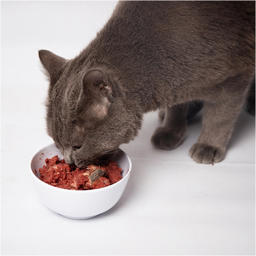 Lola&Co Tuna Ocean Fish in Jelly 400gm x24