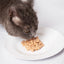 Pramy Vitamin Treat : Digestion & Hairball - Salmon with Scallop 14g x30