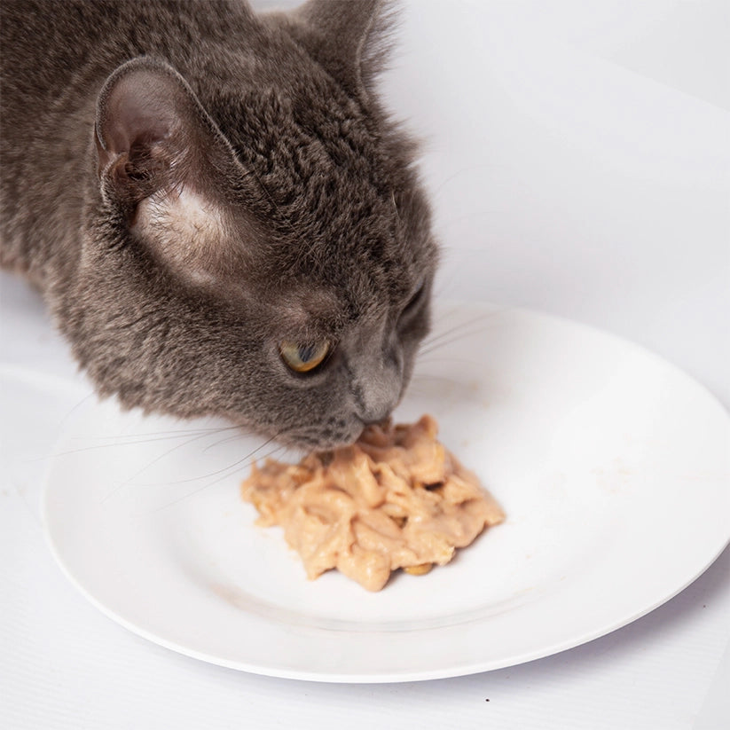 Pramy Vitamin Treat : Digestion & Hairball - Salmon with Scallop 14g x30